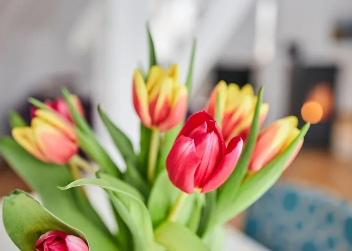 Komfortables In Purer By Interhome Сasa de vacaciones *