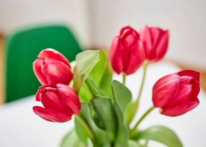 Komfortables In Purer By Interhome